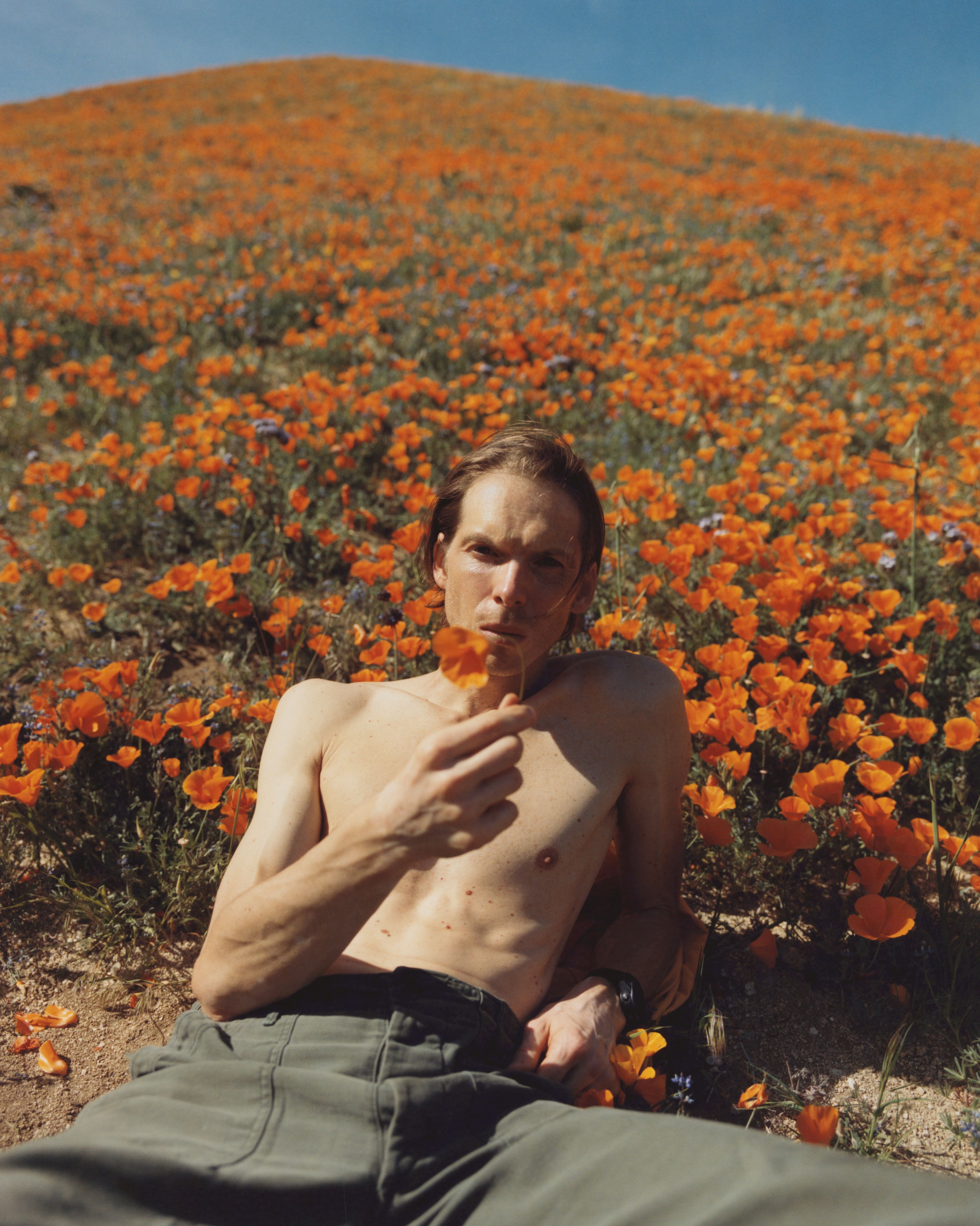 Image of man laying on a field of flowers